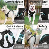 Arnes Collar Perros Grandes Con Correa