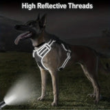 Arnes Collar Perros Grandes Con Correa