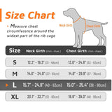 Arnes Collar Perros Grandes Con Correa